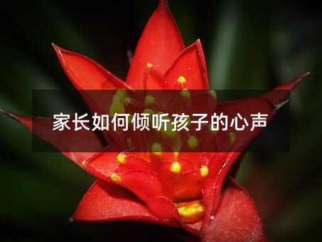 ���L��΃A ���ӵ���