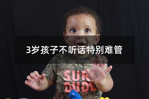 3�q���Ӳ� Ԓ�؄e�y��