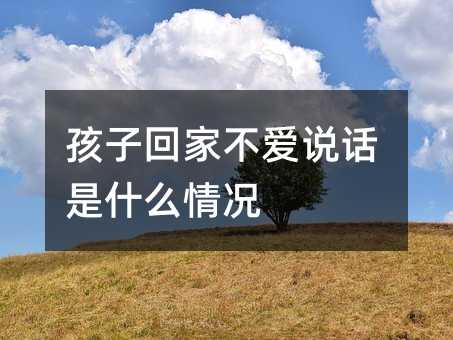 ���ӻؼҲ���(��i)�f(shu��)Ԓ��ʲô��r