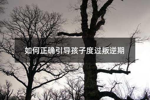 ������_�������Ӷ��^������