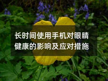 �L�r�gʹ���֙C���۾�������Ӱ푼�������ʩ