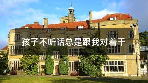 孩子不聽話總是跟我對著干