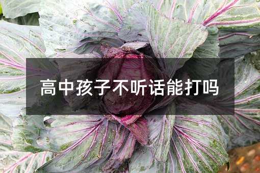 ���к��Ӳ� Ԓ�ܴ��