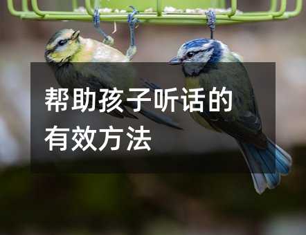 �������� Ԓ����Ч����