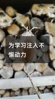 ��W��ע�벻и����