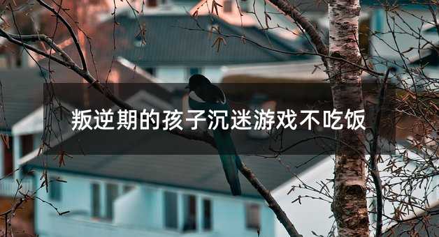 叛逆期的孩子沉迷游戲不吃飯