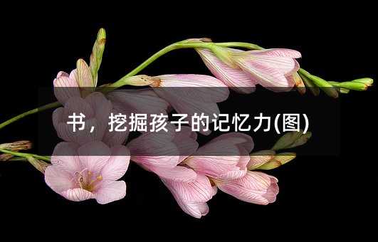 �����ھ��ӵ�ӛ����(�D)