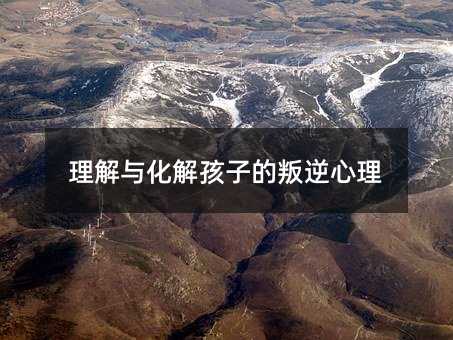 �����c���⺢�ӵ���������