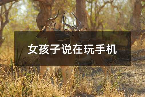女孩子說(shuō)在玩手機(jī)