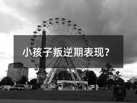 小孩子叛逆期表現?