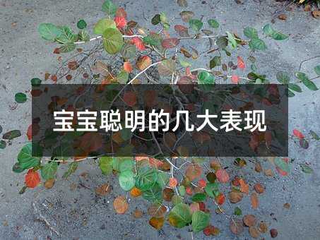 �������Ď״���F