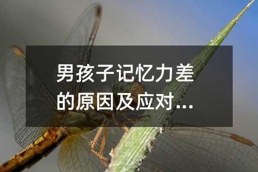 �к���ӛ�������ԭ�򼰑�������