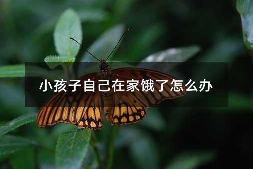 小孩子自己在家餓了怎么辦