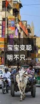 寶寶變聰明不只是媽媽的責任