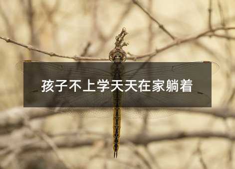 孩子不上學天天在家躺著