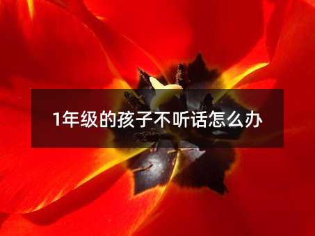 1年級的孩子不聽話怎么辦