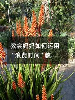 教會媽媽如何運用“浪費時間”教育寶寶