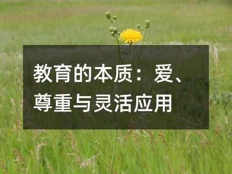 �����ı��|(zh��)���ۡ������c�`�(y��ng)��