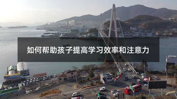 ��Ύ���������ߌW(xu��)��(x��)Ч�ʺ�ע����