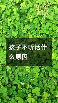 ���Ӳ� Ԓʲôԭ��