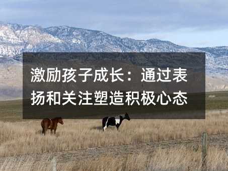 ����ӳ��L��ͨ�^��P���Pע����e�O�đB