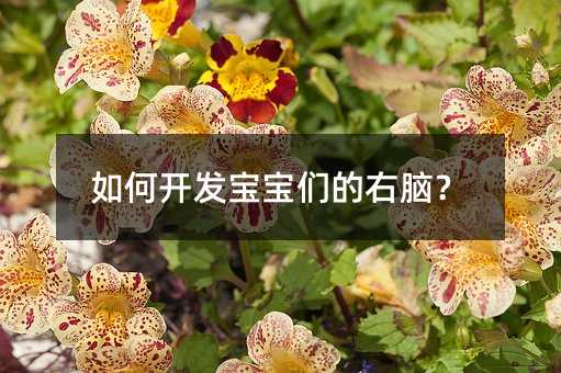 ����_�l�����������X��