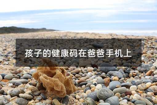 ���ӵĽ����a�ڰְ��֙C��