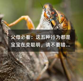 ��ĸ�ؿ����@��N�О鶼�ǌ�����׃����Ո��Ҫ�e������