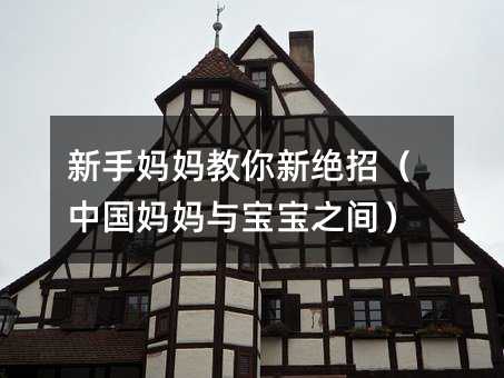 新手媽媽教你新絕招(中國媽媽與寶寶之間)