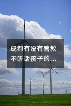 �ɶ��Л]�й̲ܽ� Ԓ���ӵČWУ