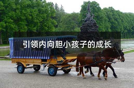 引領內向膽小孩子的成長