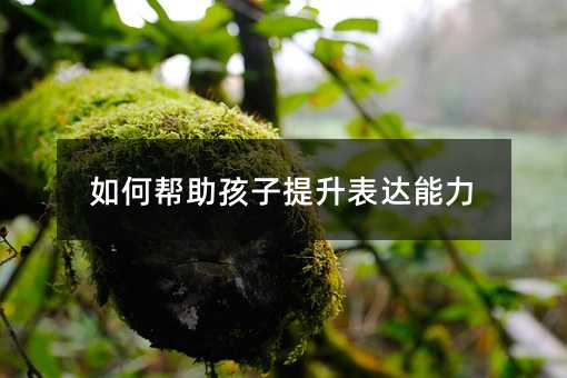 ��Ύ��������������_����