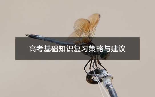 高考基礎知識復習策略與建議