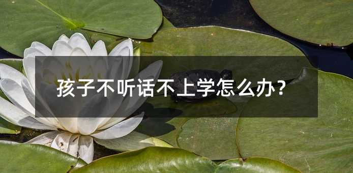 ���Ӳ� Ԓ���όW��ô�k��