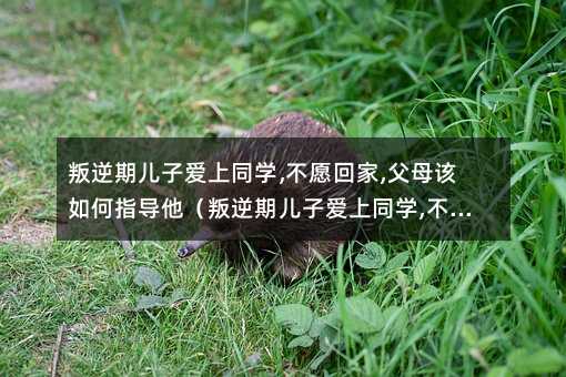 �����ڃ��Ӑ���ͬ�W,��Ը�ؼ�,��ĸԓ���ָ�����������ڃ��Ӑ���ͬ�W,��Ը�ؼ�,��ĸԓ���ָ��������