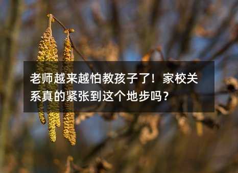 �ώ�Խ��Խ�½̺����ˣ���У�Pϵ��ľo�����@���ز��᣿