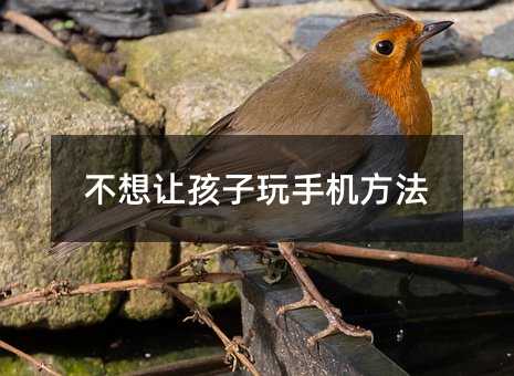 ����׌�������֙C����