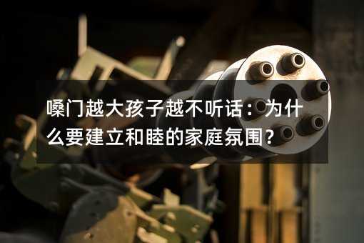 嗓門越大孩子越不聽話:為什么要建立和睦的家庭氛圍?