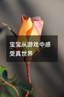 �������Α��и���������