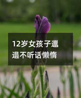 12�qŮ�������ݲ� (t��ng)Ԓ�ж�