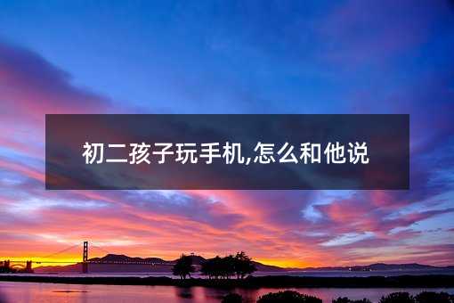 初二孩子玩手機(jī),怎么和他說