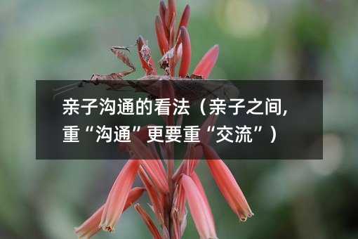 �H�Ӝ�ͨ�Ŀ������H��֮�g,�ء���ͨ����Ҫ�ء���������