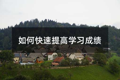 如何快速提高學(xué)習(xí)成績