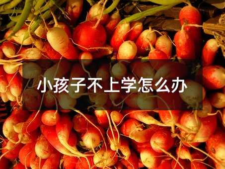 С���Ӳ��όW��ô�k