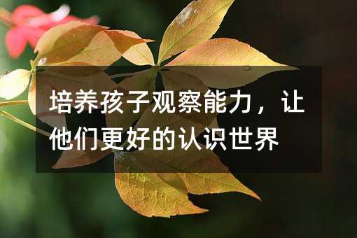 ���B�����^��������׌�������õ��J�R����