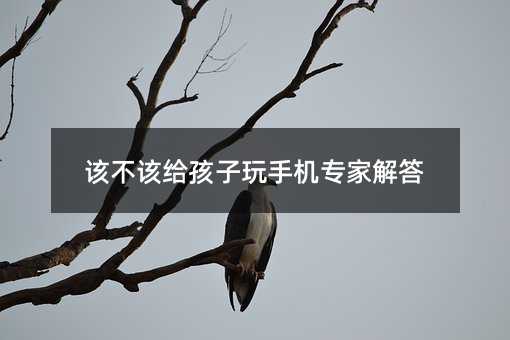 ԓ��ԓ�o�������֙C���ҽ��