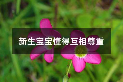 �����������û�������