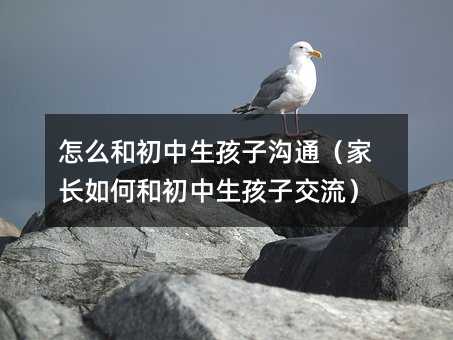 ��ô�ͳ��������Ӝ�ͨ�����L��κͳ��������ӽ�����