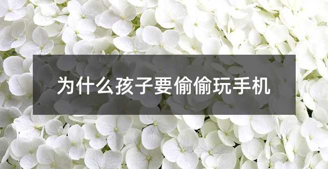 ��ʲô����Ҫ͵͵���֙C