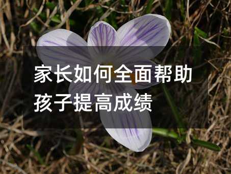 ���L���ȫ�����������߳ɿ�